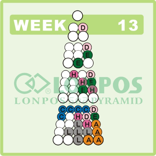 Zadanie na 13 tydzień roku - Lonpos 505 3D