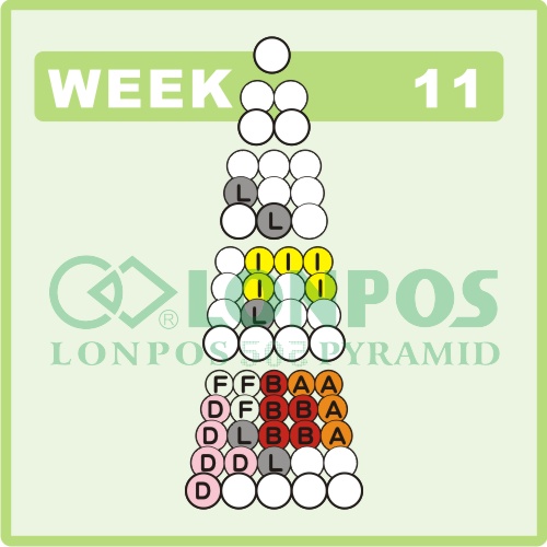 Zadanie na 11 tydzień roku - Lonpos 505 3D