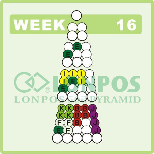 Zadanie na 16 tydzień roku - Lonpos 505 3D
