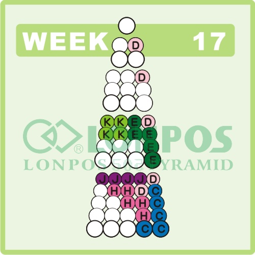 Zadanie na 17 tydzień roku - Lonpos 505 3D