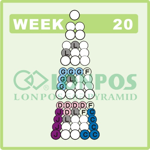 Zadanie na 20 tydzień roku - Lonpos 505 3D