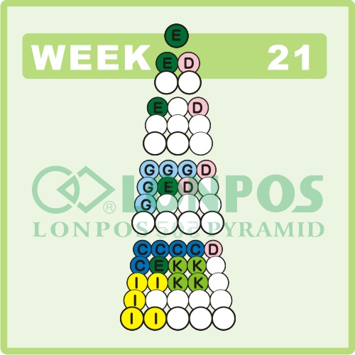 Zadanie na 21 tydzień roku - Lonpos 505 3D