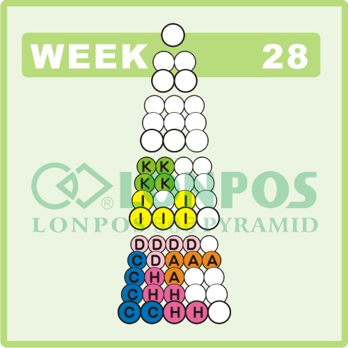 Zadanie na 28 tydzień roku - Lonpos 505 3D