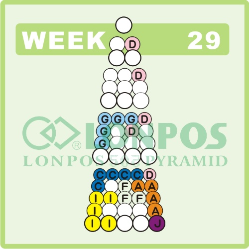 Zadanie na 29 tydzień roku - Lonpos 505 3D