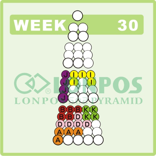 Zadanie na 30 tydzień roku - Lonpos 505 3D