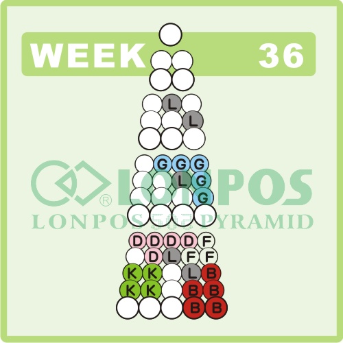 Zadanie na 36 tydzień roku - Lonpos 505 3D