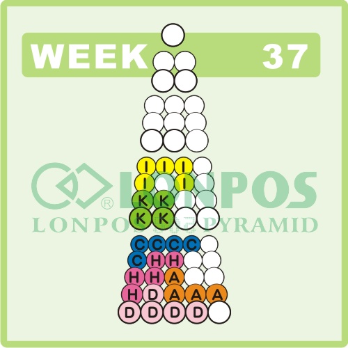 Zadanie na 37 tydzień roku - Lonpos 505 3D