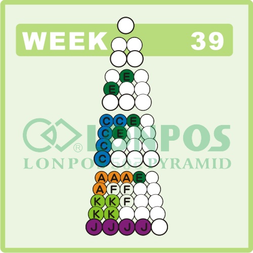 Zadanie na 39 tydzień roku - Lonpos 505 3D