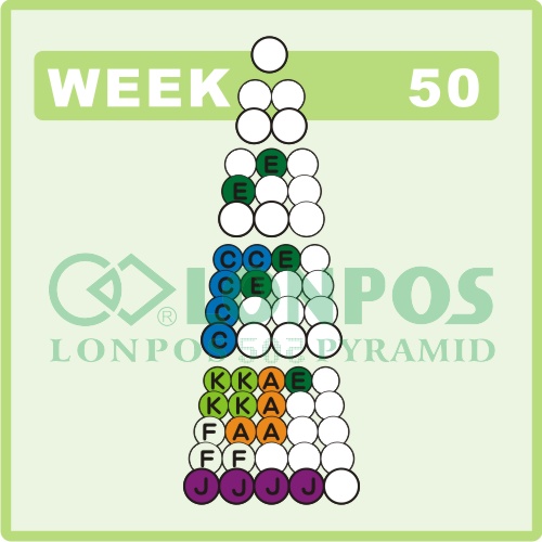 Zadanie na 50 tydzień roku - Lonpos 505 3D